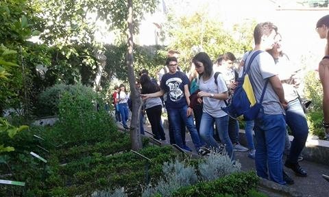 Visita Giardini della Minerva Salerno