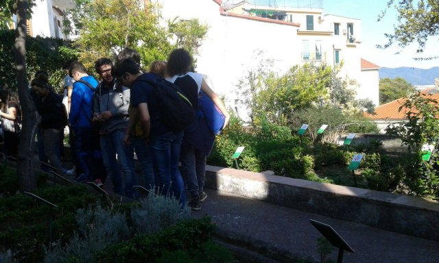 Visita Giardini della Minerva Salerno