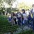 Visita Giardini della Minerva Salerno
